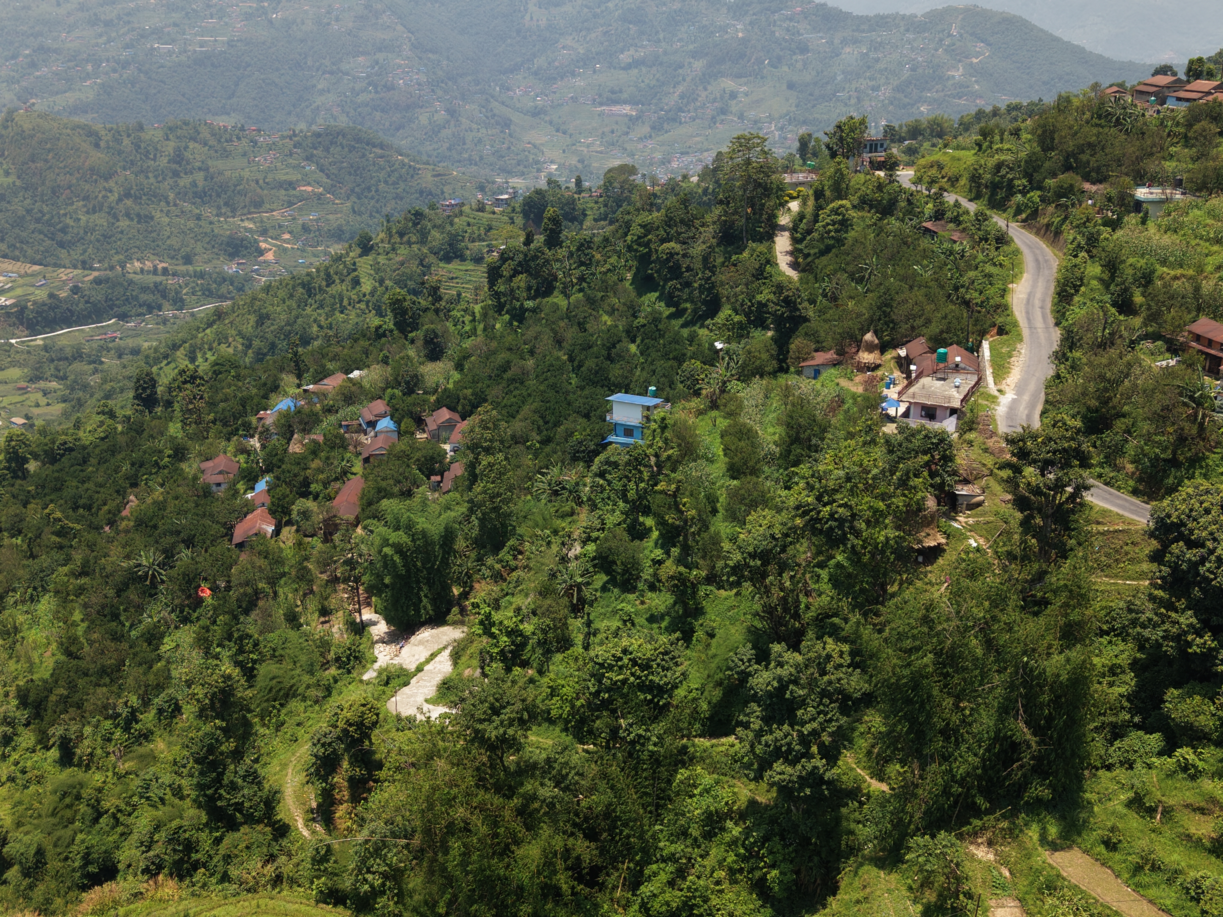 सुन्तला र कफी बगैंचाहरू